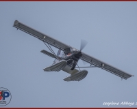 TSR Watermark - 0260